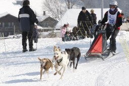 Lenk 2012 SM